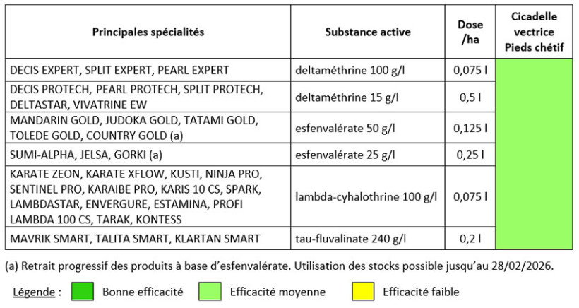 Tableau 1 : Principales spécialités insecticides en végétation autorisées sur la cicadelle
