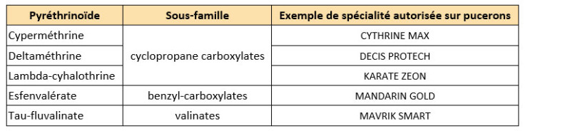 Tableau 2 : Pyréthrinoïdes : trois sous-familles
