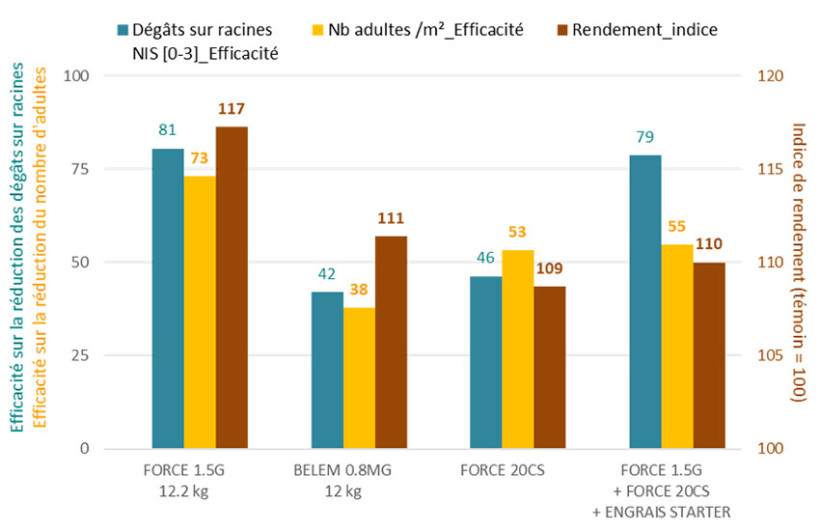 Figure 2 : Intérêt d’une protection insecticide appliquée au semis sur les dégâts observés sur racines, sur le nombre d’adultes ayant émergé et sur le rendement