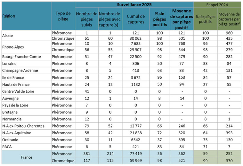 Tableau 1 : Résultats de la surveillance de la chrysomèle du maïs sur pièges à phéromone ou pièges chromatiques en 2025