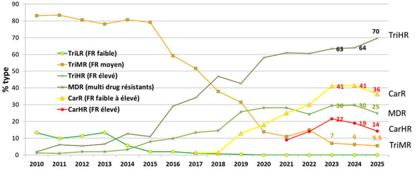 Figure 1 : Evolution des populations de septoriose en France selon leurs phénotypes de résistance observés dans les échantillons du Réseau Performance depuis 2010