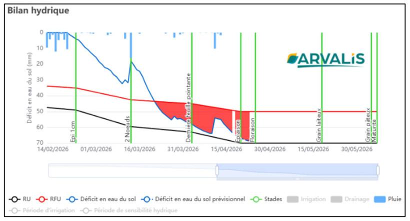 Figure 7 : Bilan hydrique pour la variété PRESTANCE - Semis du 17 octobre 2025, sol de terrefort superficiel (RU = 70 mm) - Bergerac (24)