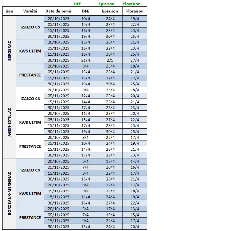Tableau 1 : Dates prévisionnelles des stades DFE à floraison en blé tendre selon la date de semis, la variété et la station