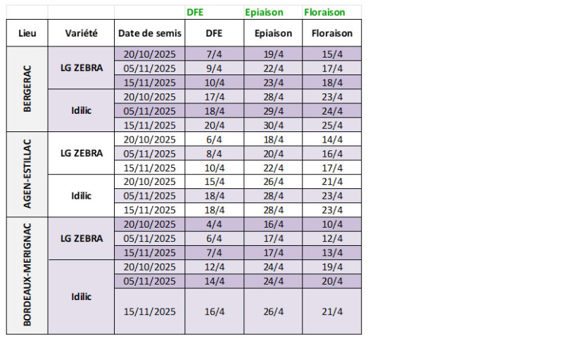 Tableau 2 : Dates prévisionnelles des stades DFE à floraison en orge d’hiver selon la date de semis, la variété et la station