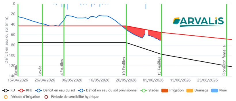 Figure 2 : Evolution du stock d’eau disponible pour un maïs semé au Magneraud le 16 avril