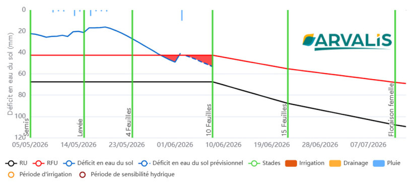 Figure 3 : Evolution du stock d’eau disponible pour un maïs semé au Magneraud le 5 mai