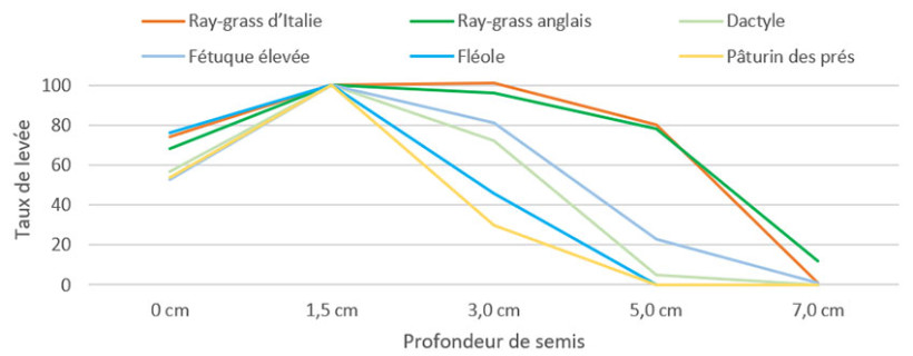 Figure 3 : Pourcentage de graines levées en fonction de la profondeur de semis