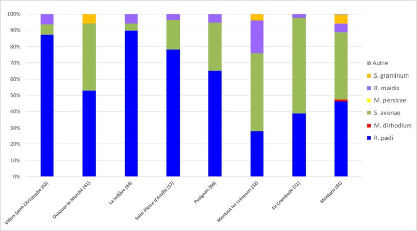 Figure 2 : Part relative des différentes espèces de pucerons prélevés à l’automne 2025 sur plantules d’orge et de blé sur 8 sites d’essais JNO d’ARVALIS