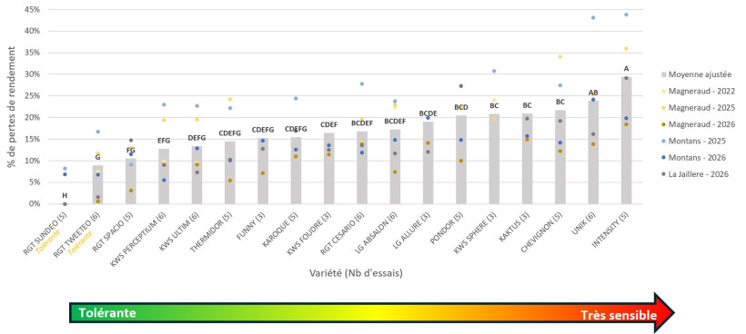 Figure 2 : Pertes de rendement des variétés de blé tendre entre des microparcelles traitées (Karaté Zéon) et non traitées 