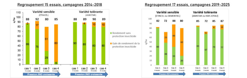 •	Figure 4 : Escourgeon et tolérance variétale à la JNO, rendements et gains acquis avec la lutte insecticide selon différentes pressions de viroses, comparaison d’une variété sensible et d’une variété tolérante