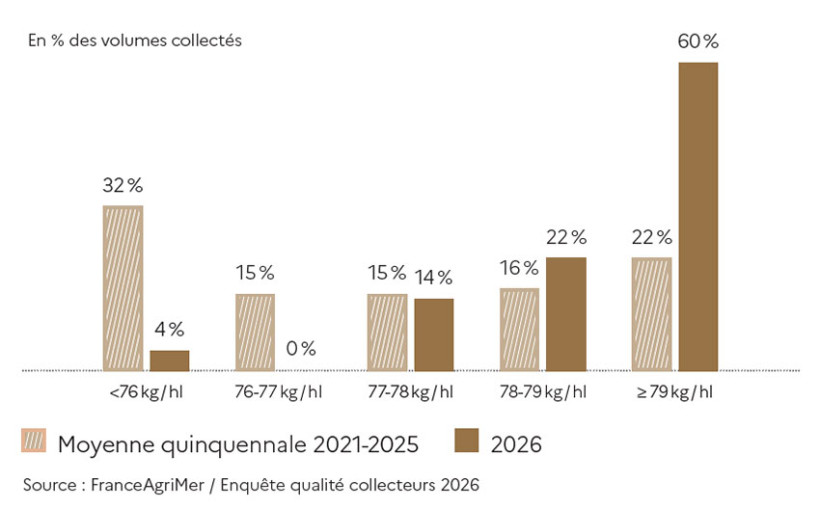 Figure 1 : Distribution de la collecte française de blé dur selon le poids spécifique – Enquête FranceAgriMer / ARVALIS 2026