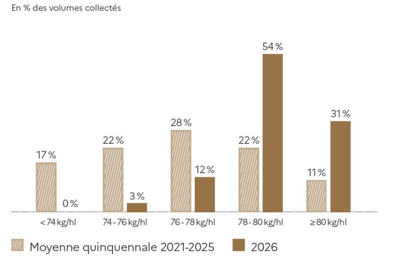 Figure 1 : Distribution de la collecte française de blé tendre en fonction des poids spécifiques – enquête FranceAgriMer/ARVALIS récolte 2026