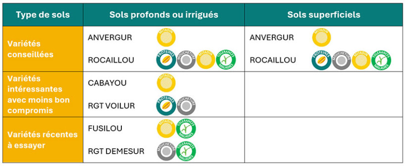 Figure 2 : Les variétés conseillées pour les semis 2026 en Centre-Val de Loire et Ile-de-France