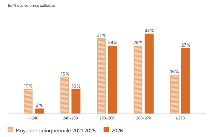 Figure 2 : Distribution de la collecte française de blé tendre conduit en agriculture biologique en fonction de la note totale de panification obtenue au test de pain de tradition française (NF V03-800)
