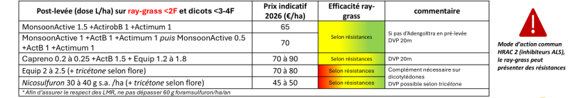 Figure 3 : Choix du programme herbicide en fonction de la pression ray-grass/vulpin en postlevée du maïs 4/6F