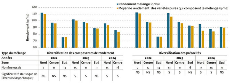 Figure 1 : Comparaison de rendement des mélanges variétaux et des bouquets de variétés pures