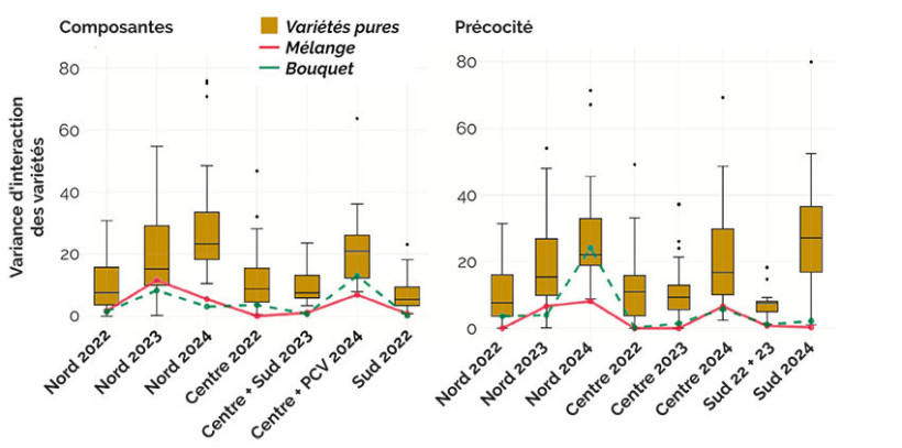 Figure 2 : Bouquets et mélanges pour réduire les interactions Variété x Environnement