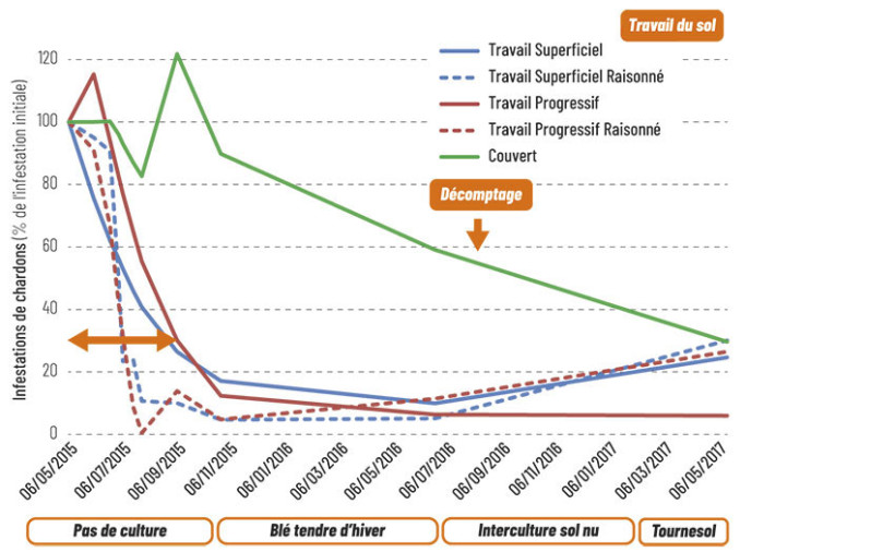 Figure 1 : Évolution relative dans le temps de la population de chardon des champs - Essai de Salvagnac en 2015-2016, puis en 2017