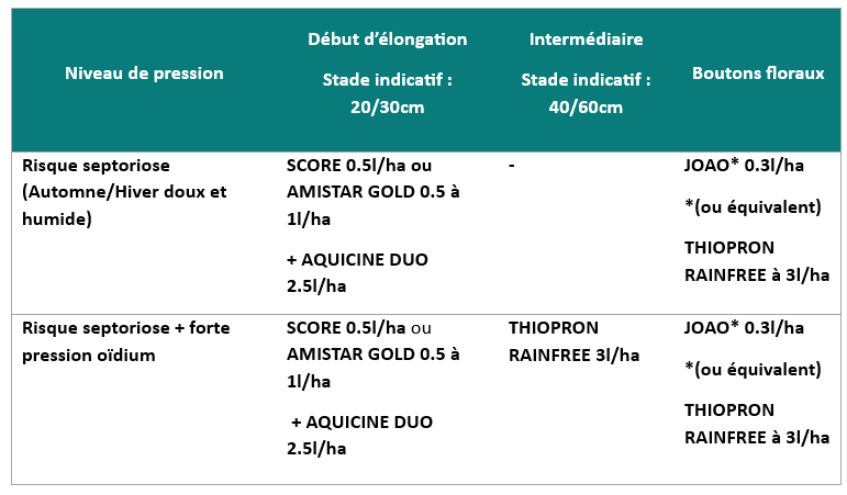 Tableau 2 : préconisation de stratégie de lutte contre la septoriose