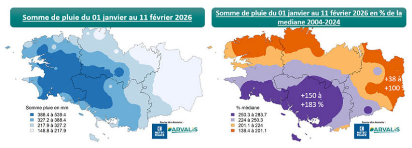 Cartes 3 et 4 : Sommes de pluie du 1/01/2026 au 11/02/2026 et % de la médiane 2004-2024