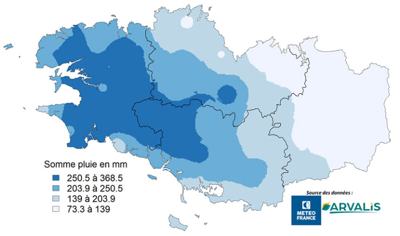 Carte 1 : Cumuls de pluies du 29 décembre 2025 au 28 janvier 2026