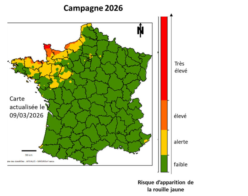 Figure 1 : Estimation du risque d’apparition de la rouille jaune par le modèle CRUSTY d’ARVALIS