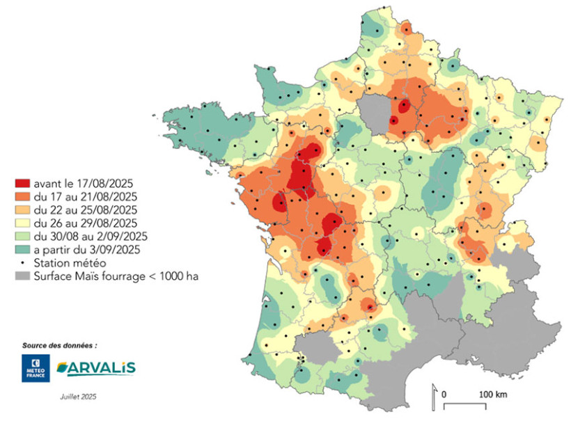Carte 2 : Dates prévisionnelles, par secteur, du début des ensilage de maïs pour 2025