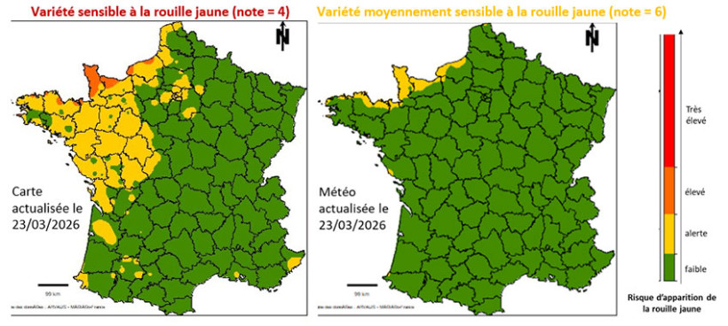 Cartes 1 et 2 : Estimation du risque d’apparition de la rouille jaune par le modèle CRUSTY d’ARVALIS - Semaine 13 (23/03 au 29/03) - Précocité et semis aux dates normales départementales 
