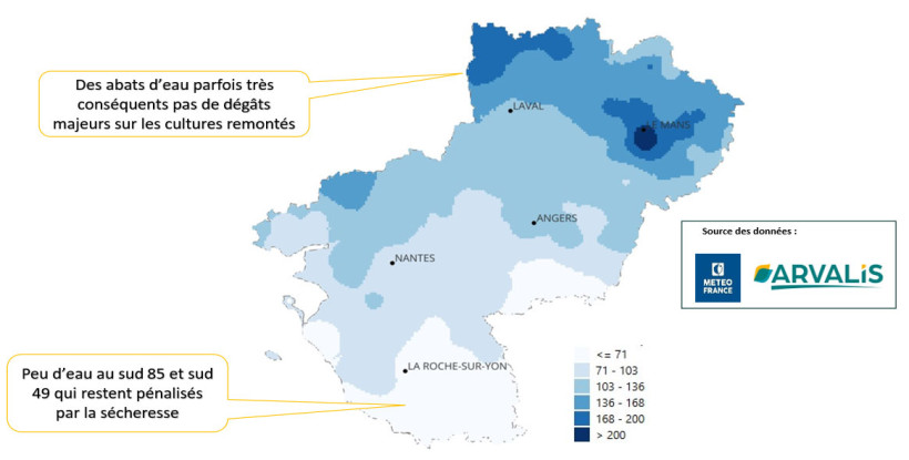 Carte 1 : Pluies cumulées en mm du 20 avril au 10 juin 2026
