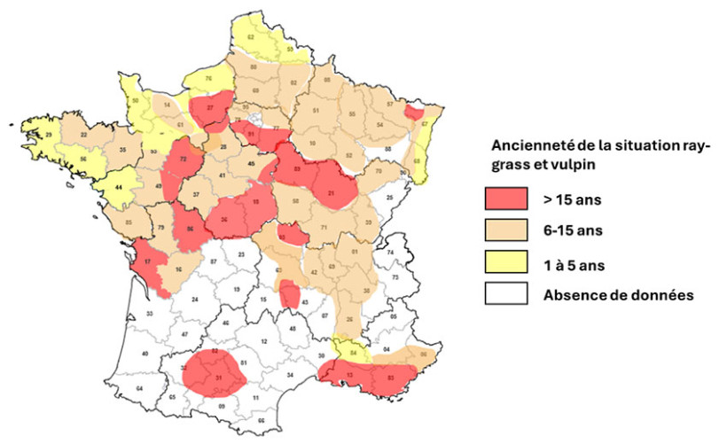 Carte 2 : Ancienneté des graminées automnales problématiques (ray-grass et vulpin) – enquête 2025 auprès de 80 acteurs locaux