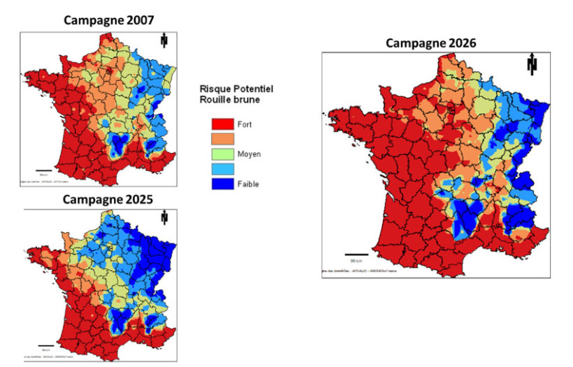 Cartes 3 à 5 : Estimation du risque potentiel de la rouille brune et comparaison entre 2007, 2025 et 2026 : somme de températures moyennes base 0 entre le 01/11 et le 31/03