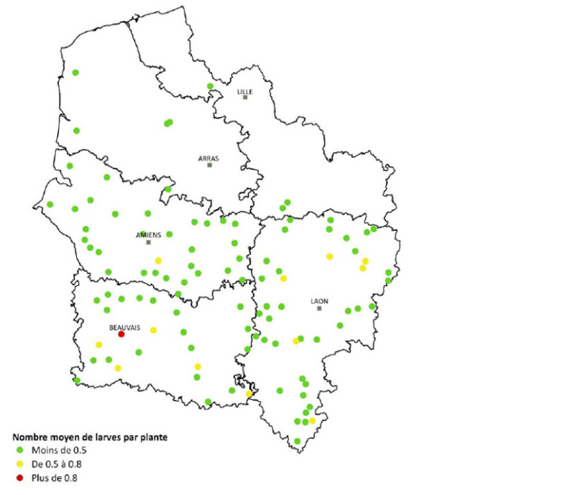 Carte 1 : Comptages de larves de pyrales dans les parcelles de maïs à l’automne 2025