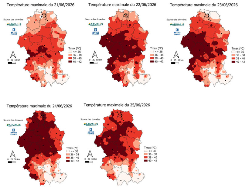 Cartes 1 à 5 : Températures maximales (°C) enregistrées entre le 21 et le 25 juin 2026