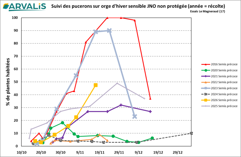 Figure 1 : Pourcentage de plantes habitées dans les témoins non traités pour les semis très précoces (2026 semis du  4 octobre)