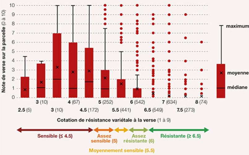 Figure 1 : Synthèse du niveau de verse observé dans des essais en blé tendre non régulés en fonction de la cotation de résistance variétale à la verse - Source : environ 100 essais ARVALIS.