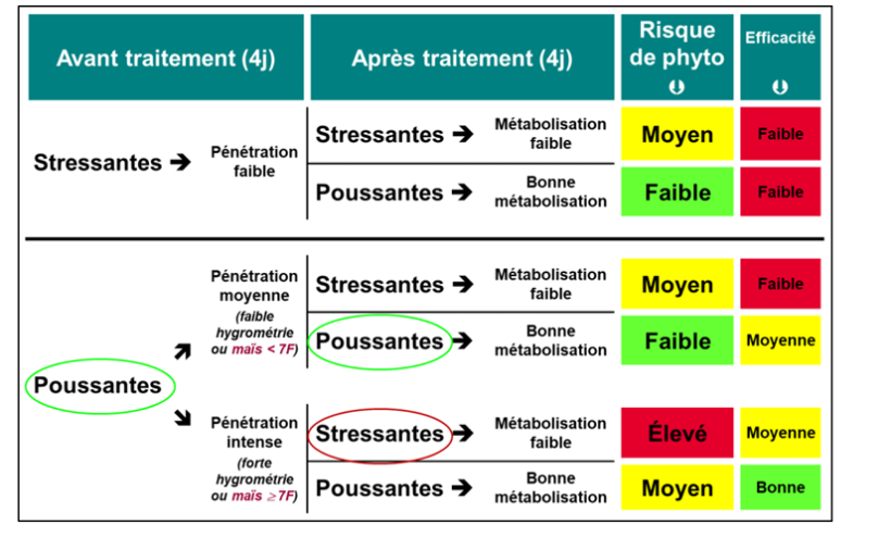 Figure 1: Impact des conditions d'application sur la sélectivité des herbicides foliaires de postlevée