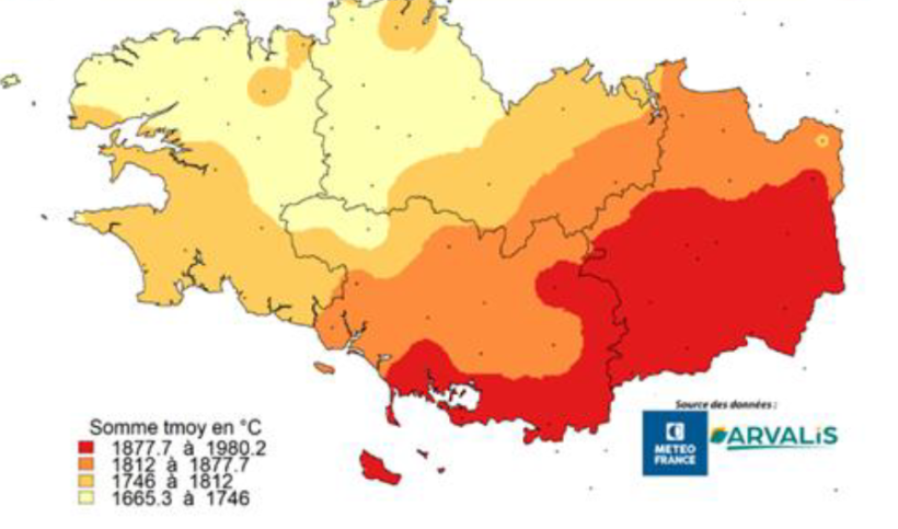 Carte 2 : Somme de températures moyennes, du 1/05/2025 au 11/08/2025