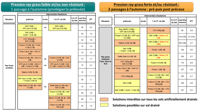 Figure 2 : Exemples de programmes herbicides selon la pression ray-grass et l'état de résistance