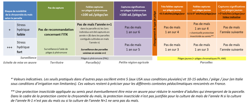 Tableau 1 : Recommandations techniques pour gérer la chrysomèle du maïs dans le maïs grain et le maïs fourrage, en fonction du nombre d’adultes capturés au cours de l’année précédente