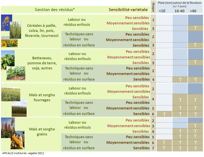 Figure 4 : Grille d’évaluation du risque d’accumulation du déoxynivalénol (DON) dans le grain de blé tendre et d’aide au traitement contre la fusariose sur épi T = traitement recommandé