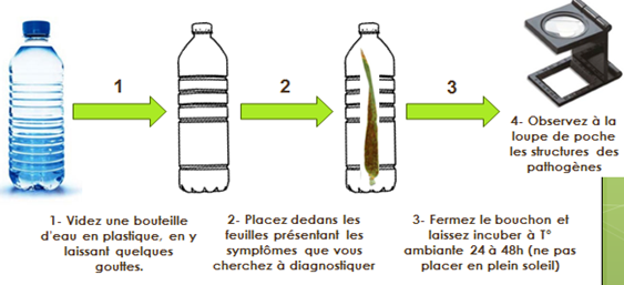Figure 3 : Principe de la chambre humide