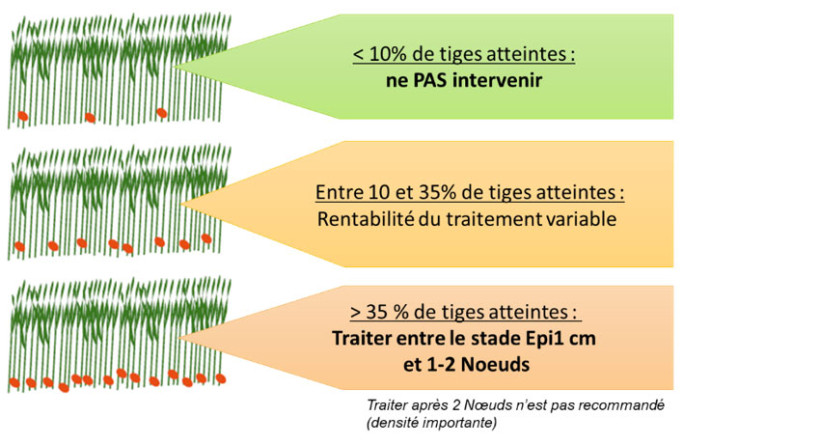 Figure 3 : les seuils d’intervention