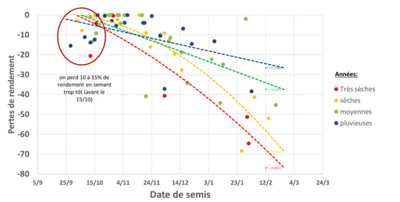Figure 1 : Pertes de rendement en fonction de la date de semis du blé dur dans le Sud-Est