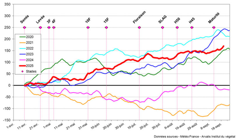 Figure 1 : Cumul de sommes de températures (base 6-30 C°) pour un semis du 10 avril station météo Clermont-Ferrand (63)