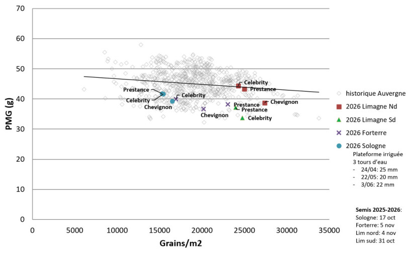 Figure 1 : PMG en fonction du nombre de grains par m2 - observatoire physiologique blé ARVALIS en Auvergne dans 4 essais en 2026