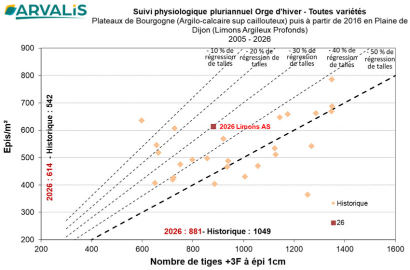 Figure 1 : Nombre d'épis par m² en fonction du nombre de tiges à +3F à épi 1 cm traduisant un % de régression de talles ans les essais physiologie en pluriannuel pour l’orge d'hiver - ARVALIS en Bourgogne depuis 2005 - Limons AS : Limons argilo-sableux à Arc-sur-tille (21)