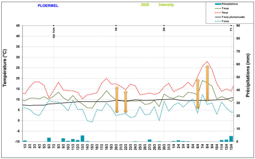 Figure 1 : Températures et pluviométrie journalière du 20/03/26 au 13/04/2026 – Station de Ploërmel (56)