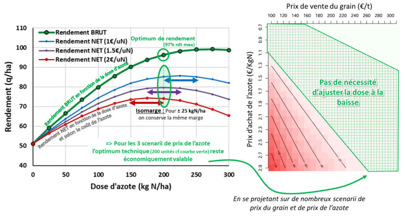 Figure 1 : Courbe de rendement obtenue en fonction de la dose d’azote, selon 3 scénarii de prix de l’azote