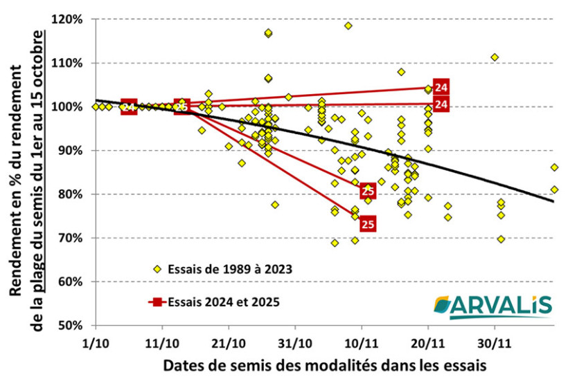 Figure 1 : Rendement exprimé en pourcentage du rendement maximal pour différentes dates de semis, sur le réseau d’essais ARVALIS en Champagne crayeuse 1989 - 2025