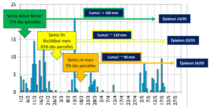 Figure 1 : Pluviométrie et positionnement des différentes dates de semis. Exemple pour la station météo de Fagnières (51)